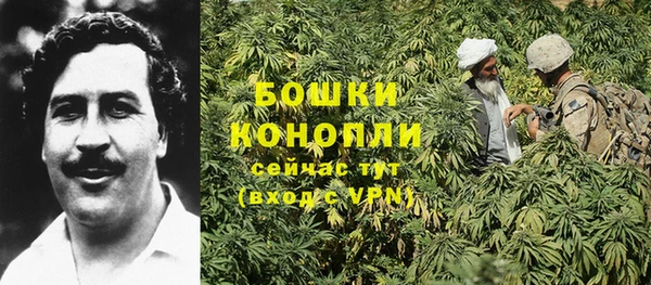 mdma Новозыбков