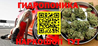 гашик Обь