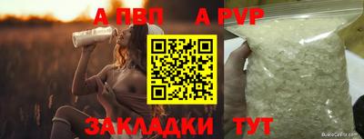 гашик Обь