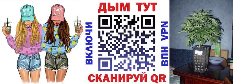 KRAKEN как зайти  Новозыбков  Канабис сатива  наркота 