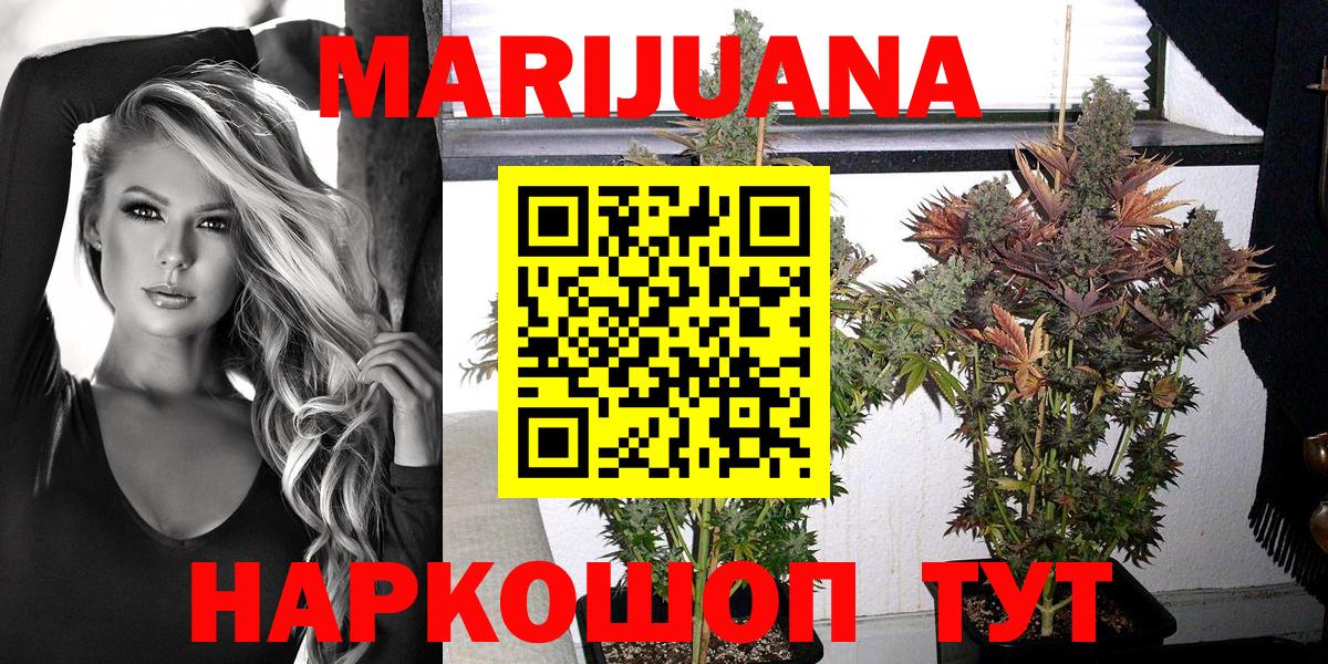 Новозыбков  Каннабис Amnesia  Марихуана сатива  Вход с VPN  Конопля план 